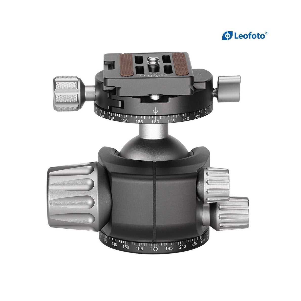 Leofoto-LH-40R Ball Head lower center double notch with QR plate leofoto-india