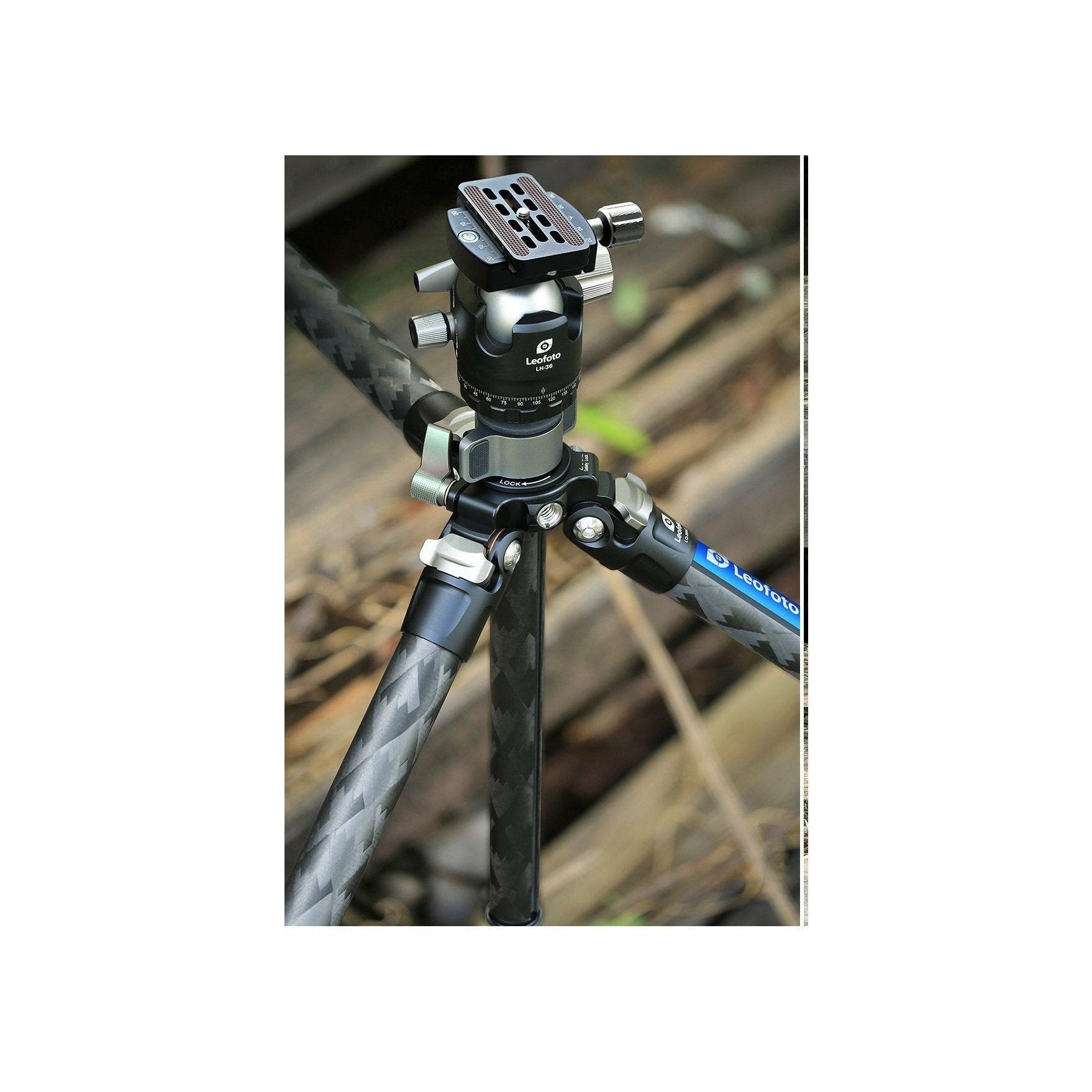 Leofoto Tripod- LQ-284C+LH-36 leofoto-india