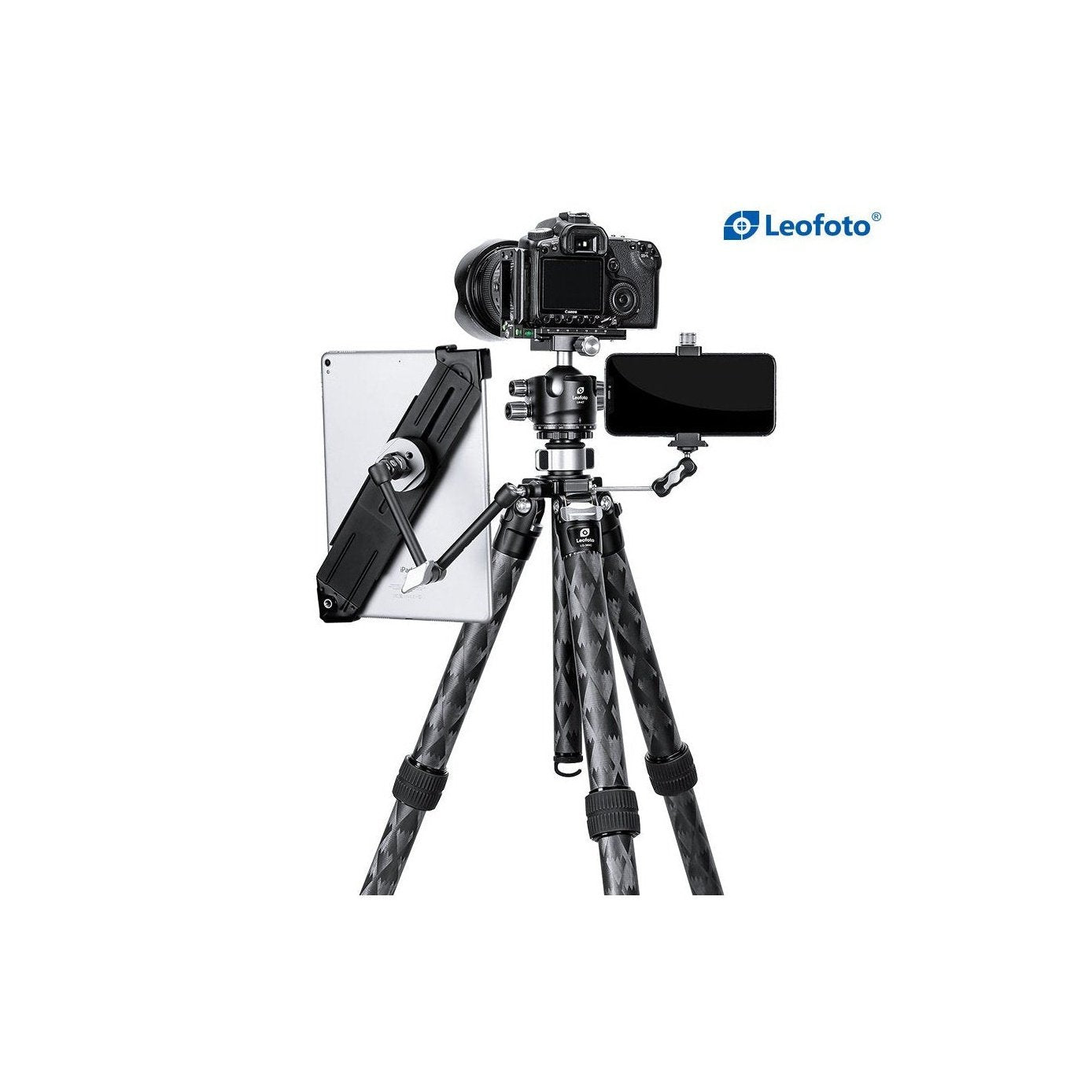 Leofoto Tripod-LQ-365c+LH-47 leofoto-india